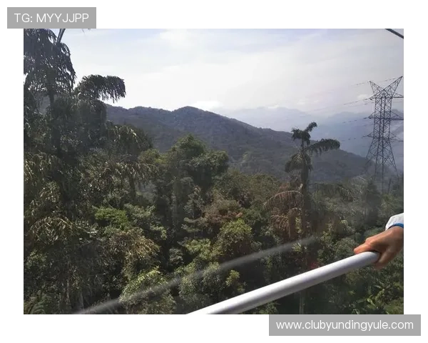 深入了解马来西亚云顶赌城的历史背景与发展现状，提升你的文化认知